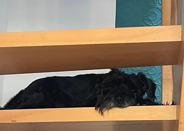 Doreen Nieswand Nocleg ze śniadaniem